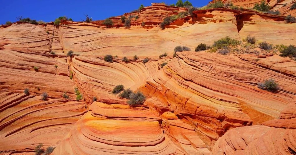 Luxury, Comfort, and Budget Stays Near Antelope Canyon, AZ